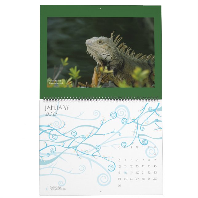 calendário dos animais selvagens - 2012 (Jan 2027)
