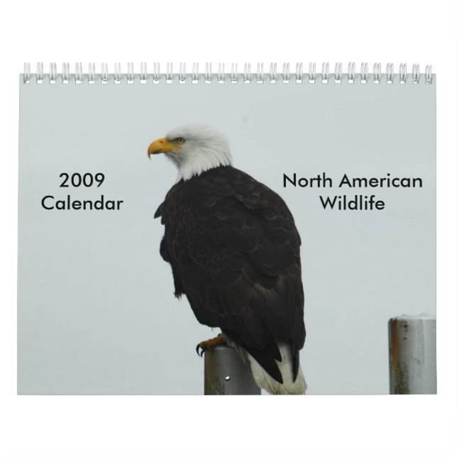 Calendário dos animais selvagens de 2009 (Capa)