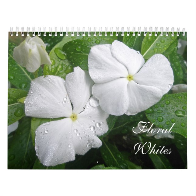 Calendário dos Brancos Florais (Capa)