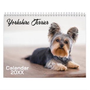 Calendário dos Cachorros Terrier Yorkshire 2025