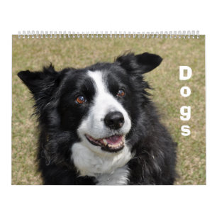 Calendário dos Cães