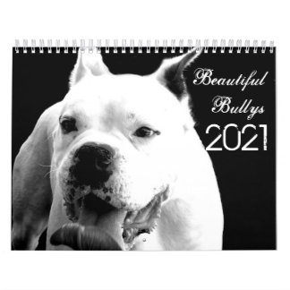 Calendário dos Cães de 2021 Belo Bullys