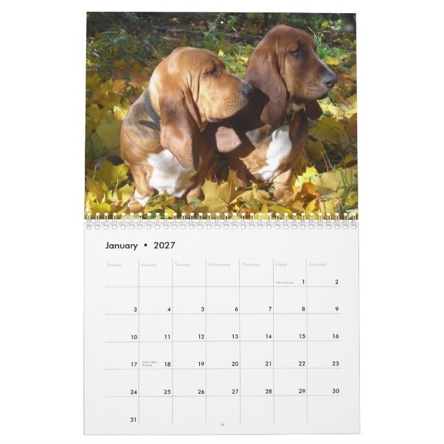 Calendário dos cães de Basset 2012 (Jan 2027)
