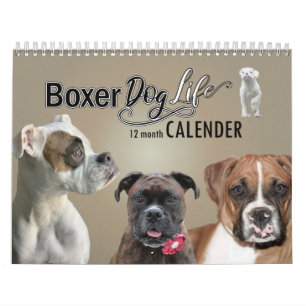 Calendário dos Cães de Boxer, 12 Meses de Vida dos