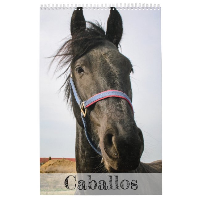 Calendário dos Cavalos... (Capa)