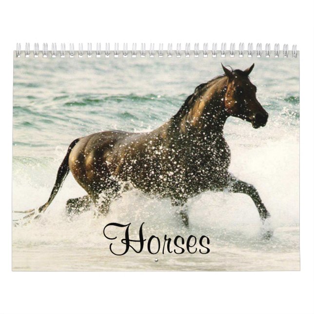 Calendário dos Cavalos (Capa)