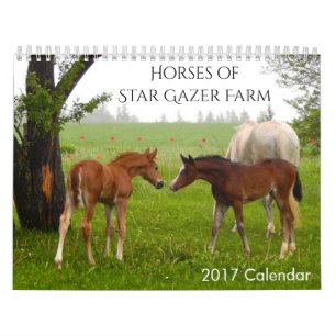 Calendário dos Cavalos 2017