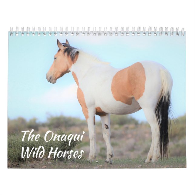 Calendário dos Cavalos Selvagens de Onaqui (Capa)