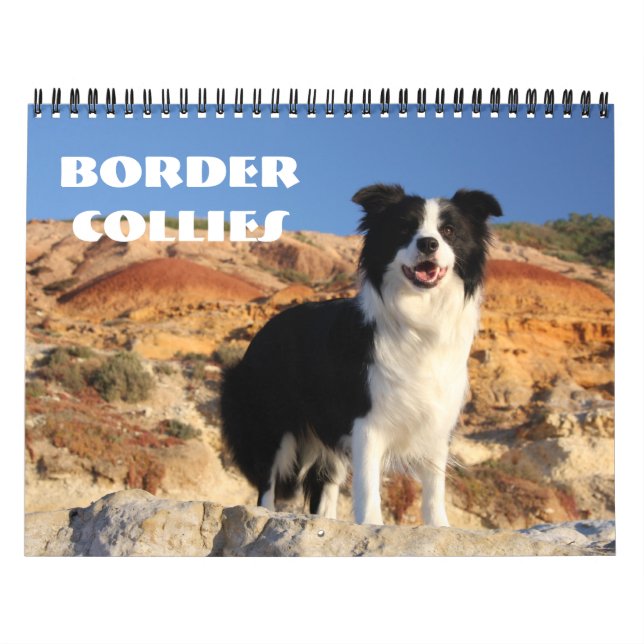Calendário dos Collies de beira (Capa)