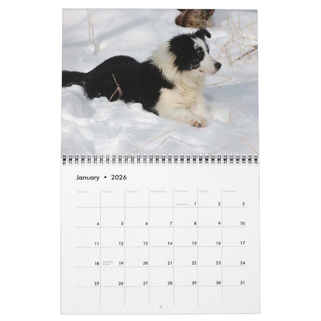 Calendário dos Collies de beira 2012 de Michigan (Jan 2026)