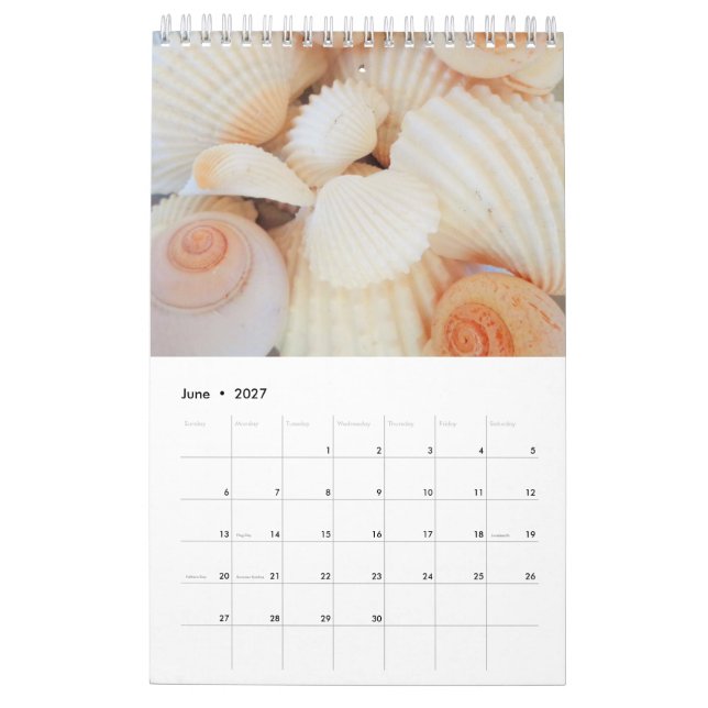 Calendário dos Conchas Marítimas 2024 Romântico Tr (Jun 2027)