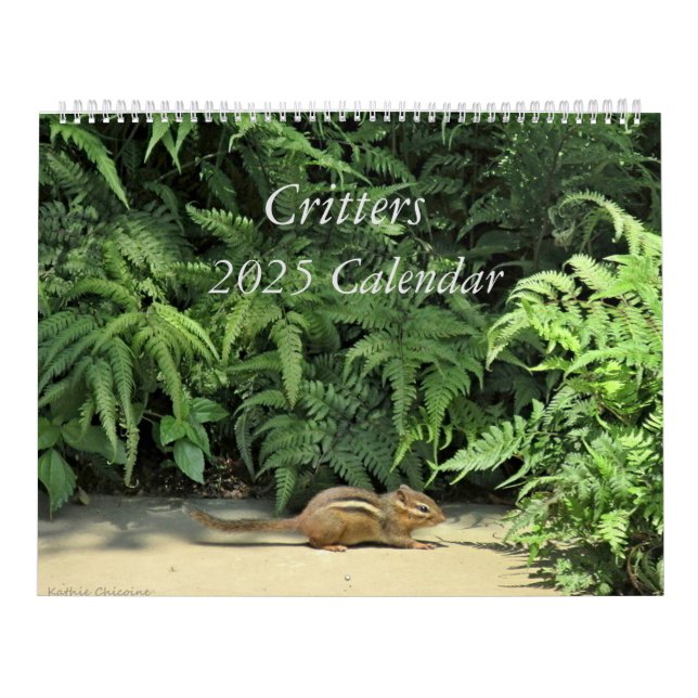 Calendário dos Critérios 2025 (Capa)