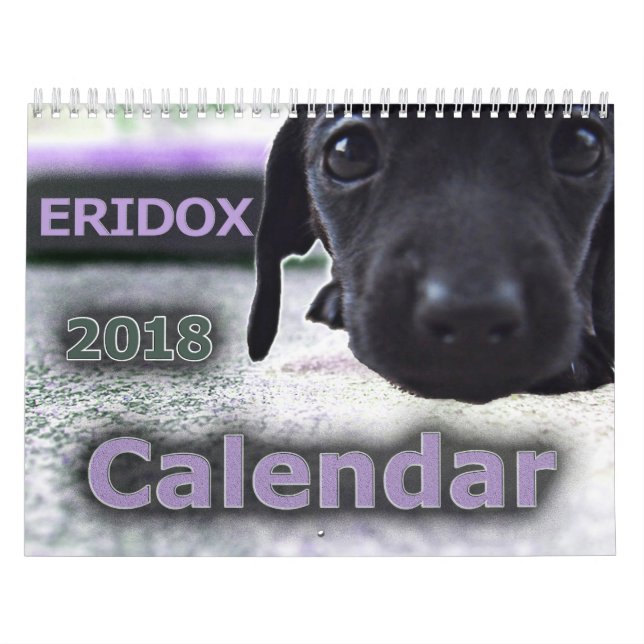 Calendário dos Dachshunds 2018 de Eridox (Capa)
