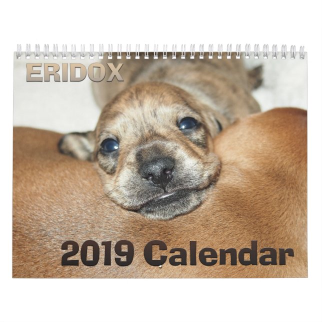 Calendário dos Dachshunds 2019 de Eridox (Capa)