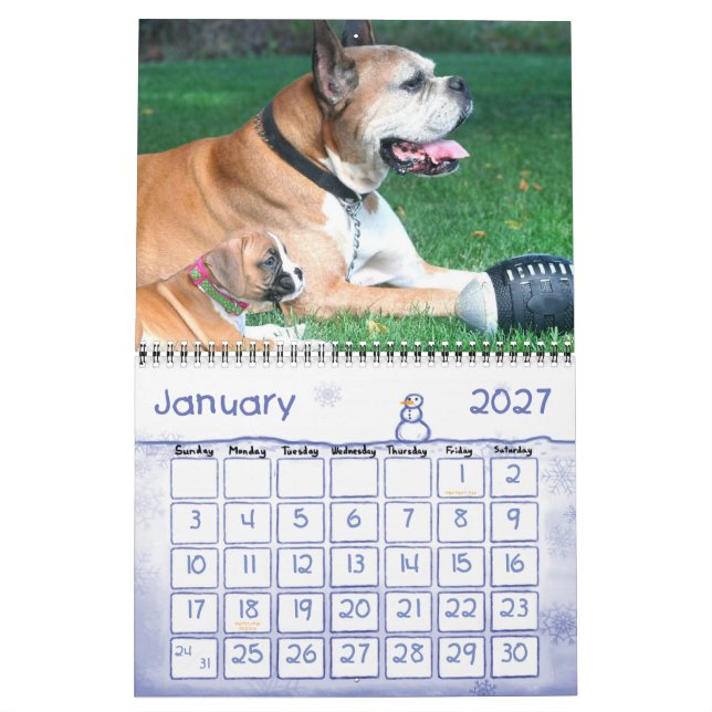 Calendário dos filhotes de cachorro 2010 do (Jan 2027)