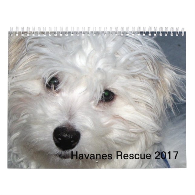 Calendário dos filhotes de cachorro 2014 de (Capa)
