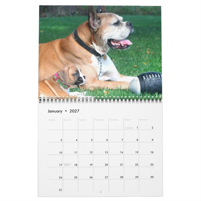 Calendário dos filhotes de cachorro 2015 do (Jan 2027)