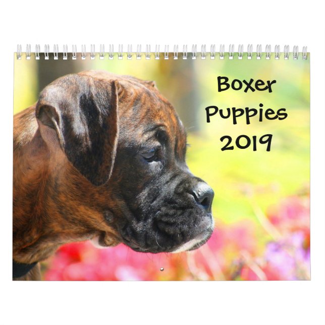 Calendário dos filhotes de cachorro 2019 do (Capa)