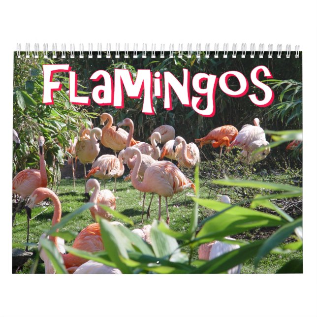 Calendário dos flamingos (Capa)