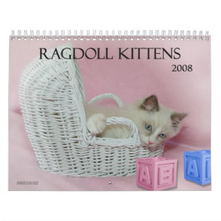 Calendário dos gatinhos de Ragdoll