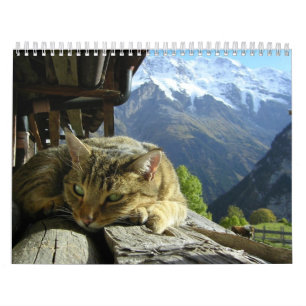 Calendário dos gatos