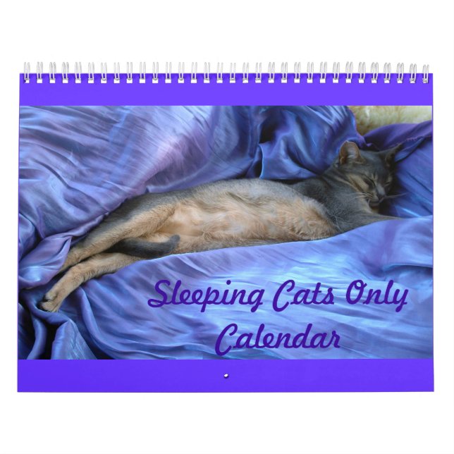 Calendário dos gatos (Capa)