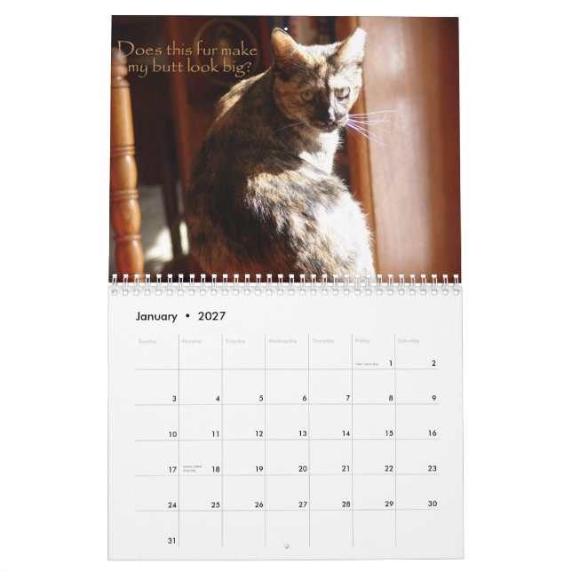 Calendário dos gatos 2008 de LOL (Jan 2027)