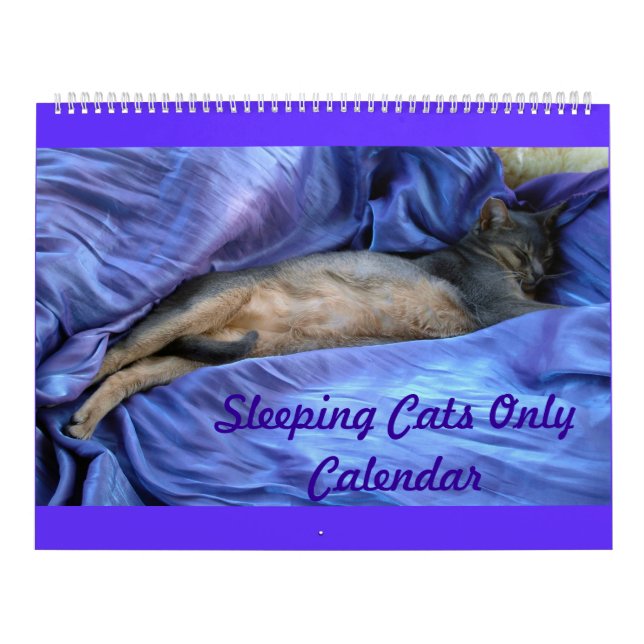 Calendário dos Gatos Abissinianos Dormindo - Extra (Capa)