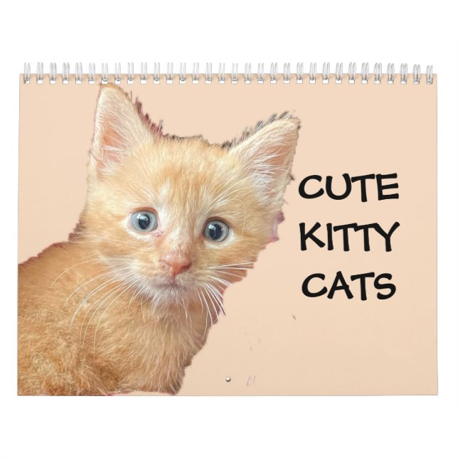 Calendário dos GATOS DE KITTIE CUTE (Capa)