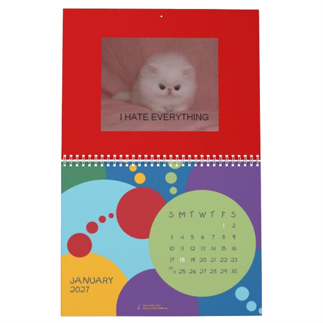 Calendário dos gatos de LOL (Jan 2027)