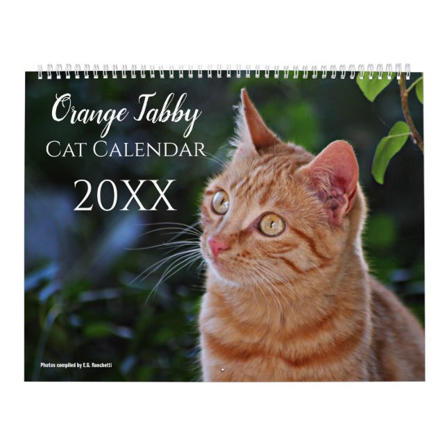 Calendário dos Gatos e Gatinhos Laranja 2025 (Capa)