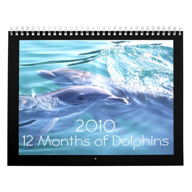 Calendário dos golfinhos 2010 (Capa)