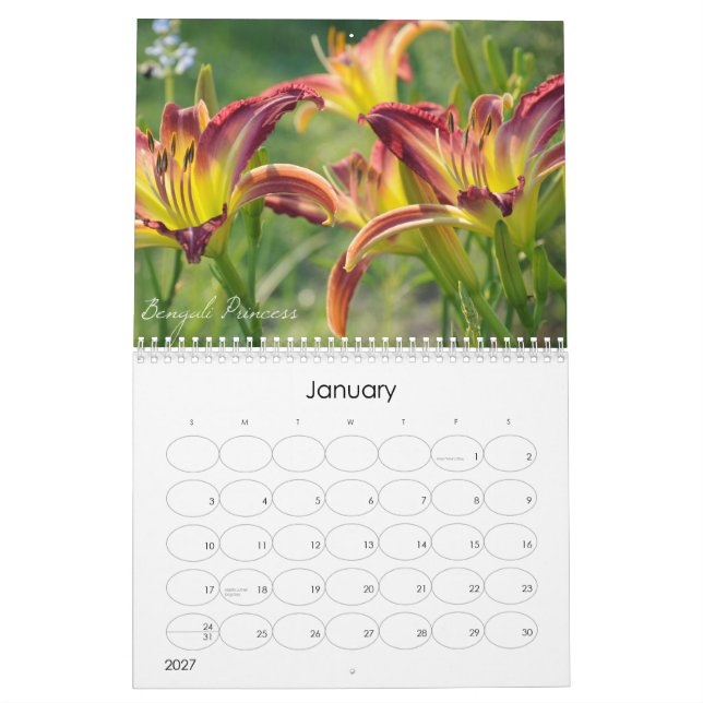 Calendário dos hemerocallis 2011 (Jan 2027)