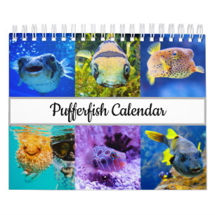 Calendário dos lagostins