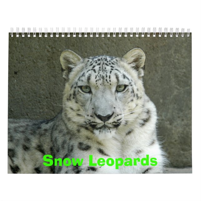 Calendário dos leopardos de neve, leopardos de (Capa)