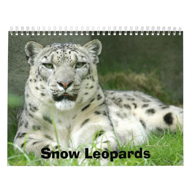Calendário dos leopardos de neve, leopardos de (Capa)