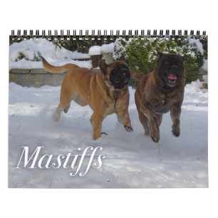Calendário dos Mastiffs