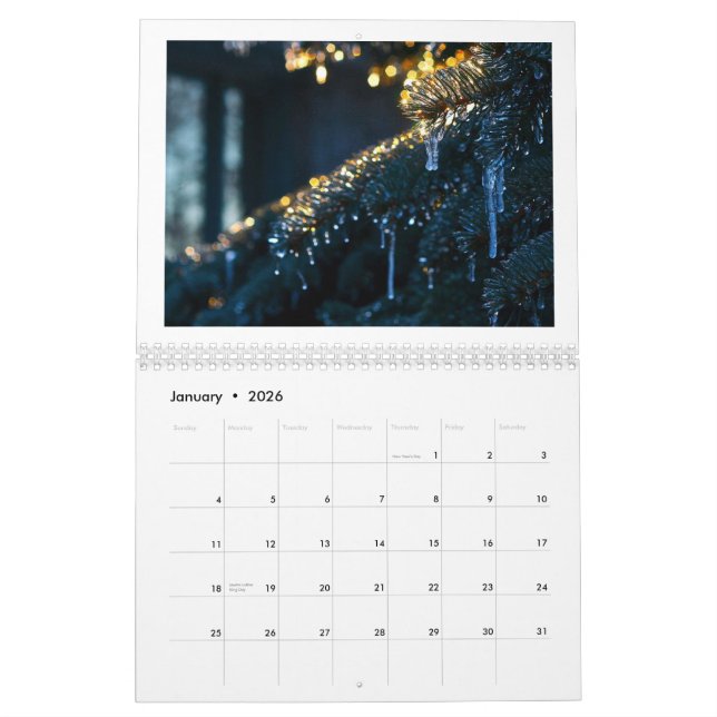 Calendário dos meios mistos de FedericoArts 2015 (Jan 2026)