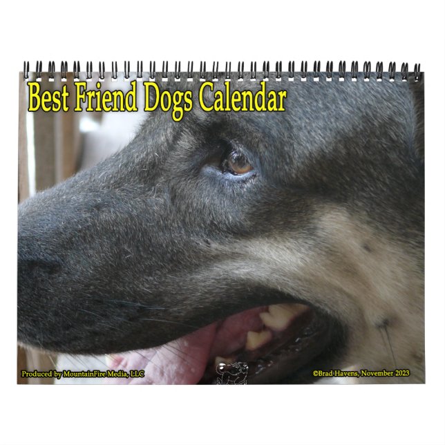 Calendário dos Melhores Cães Amigos! (Capa)