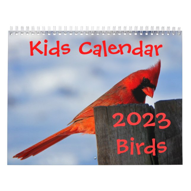 Calendário dos miúdos - 2015 - pássaros (Capa)