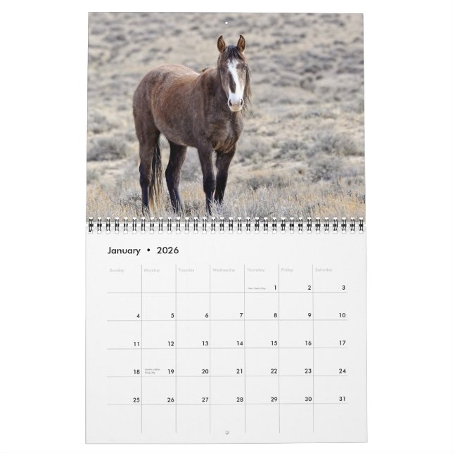 Calendário dos mustang de Colorado (Jan 2026)
