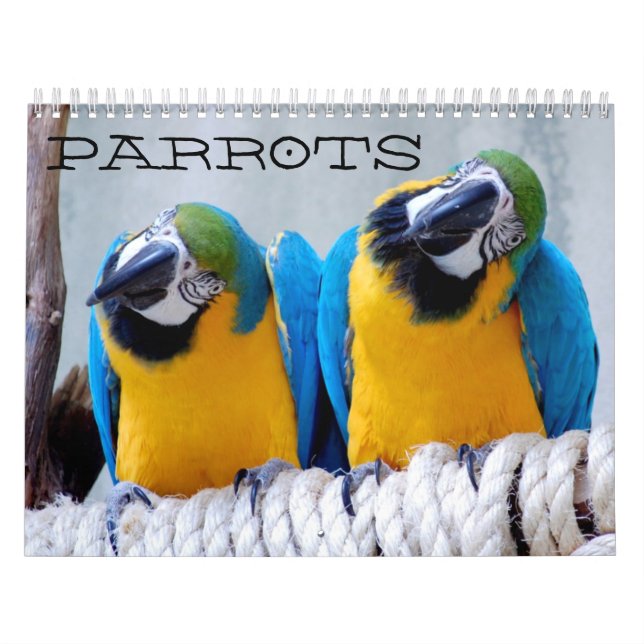 Calendário dos papagaios (Capa)