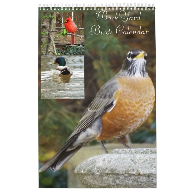 Calendário dos pássaros do quintal (Capa)