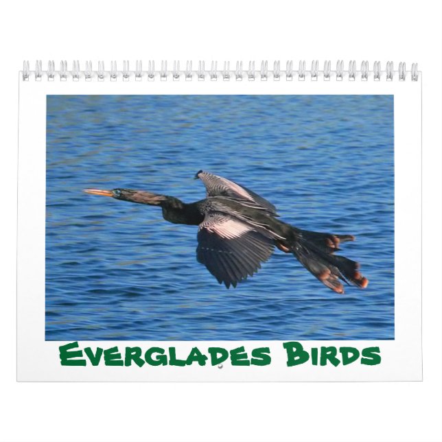 Calendário dos pássaros dos marismas (Capa)