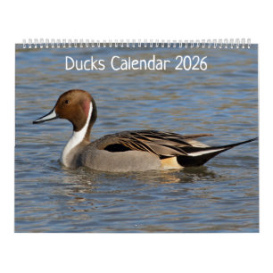 Calendário dos Patos