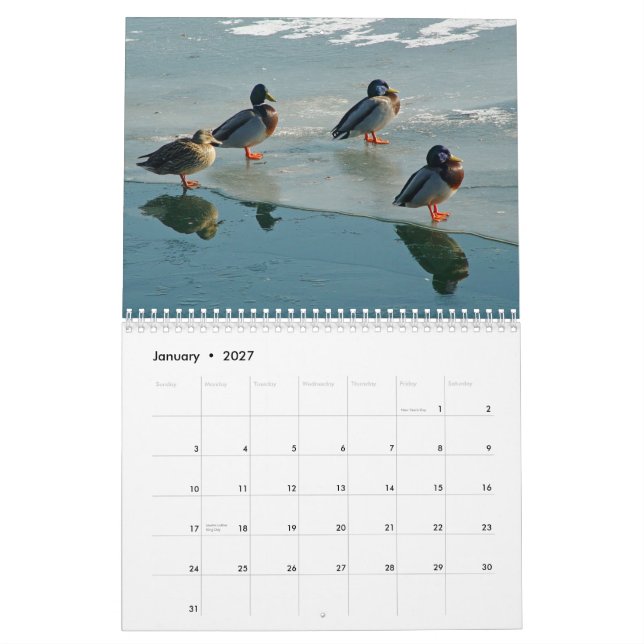 Calendário dos patos (Jan 2027)