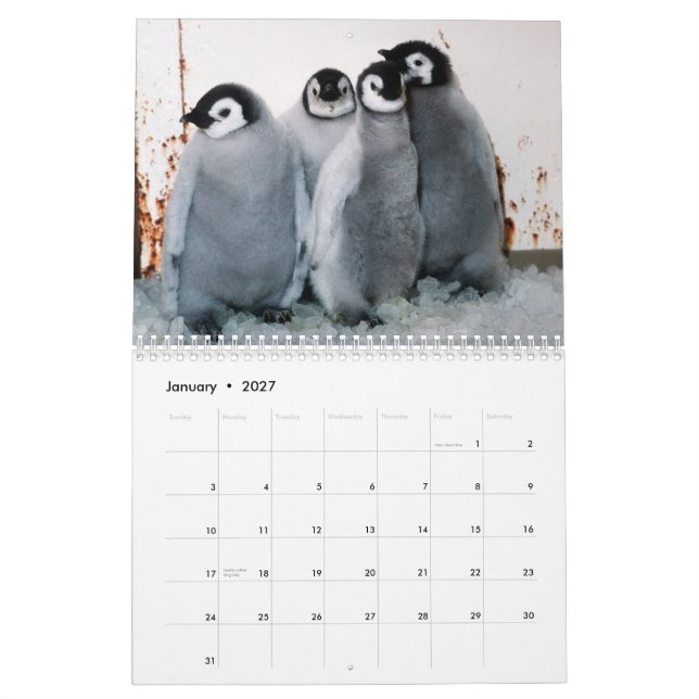 Calendário dos pinguins (Jan 2027)