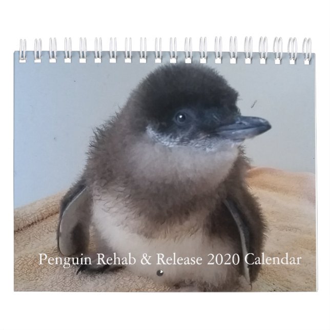 Calendário dos Pinguins 2020 (Capa)