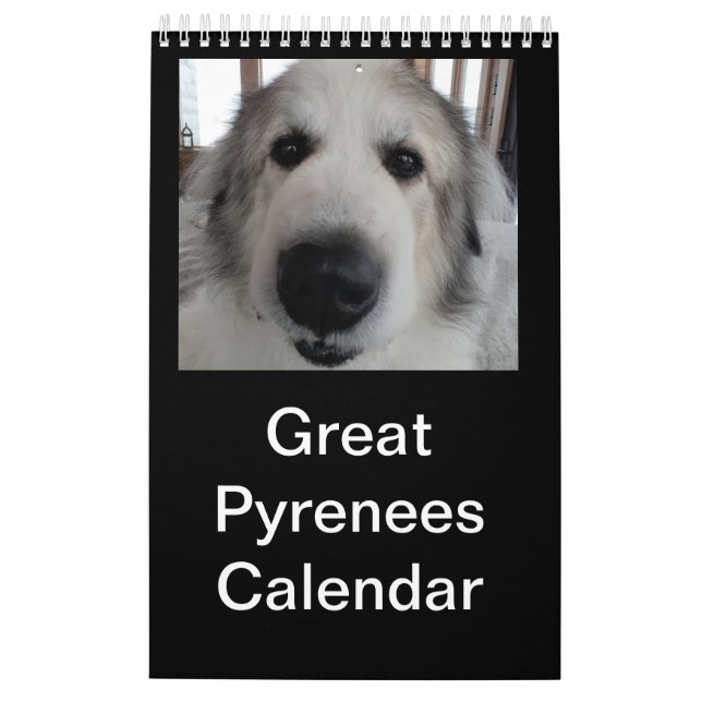 Calendário dos Pirenéus do excelente (Verso)