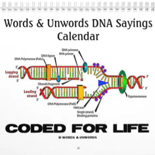 Calendário dos provérbios 2016 do ADN das palavr